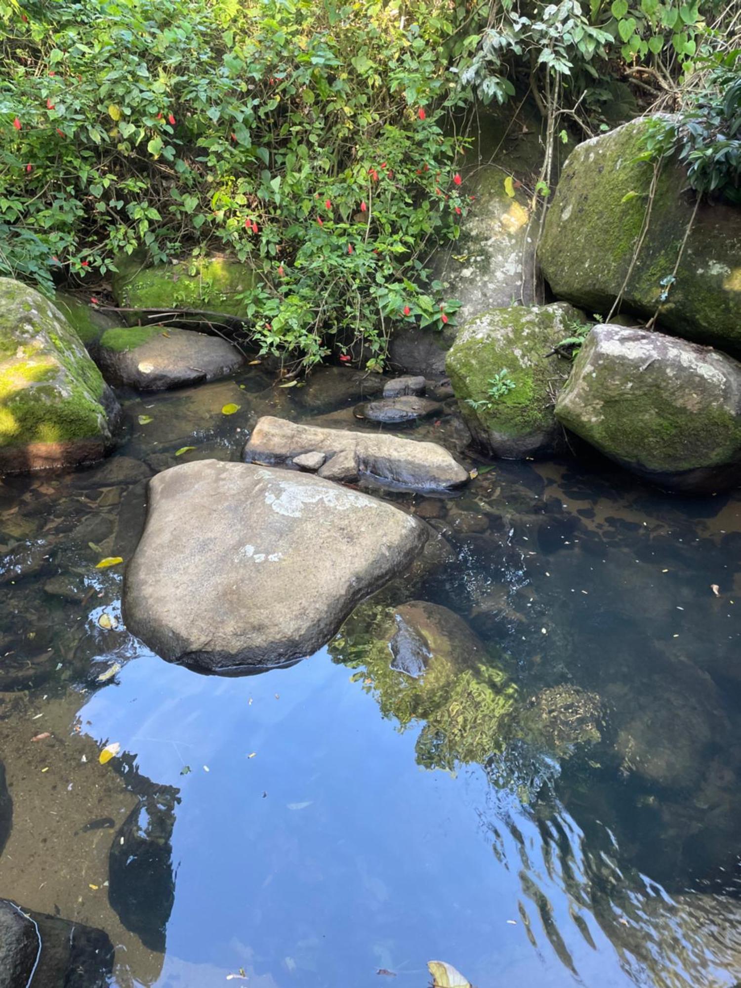 Casa Selva - Vila Do Abraao - Ilha Grande Экстерьер фото
